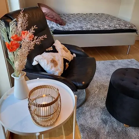 One-room Dorm With Kitchenette, Bath, Bed 140x200 Lejlighed