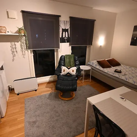 One-room Dorm With Kitchenette, Bath, Bed 140x200 Apartment